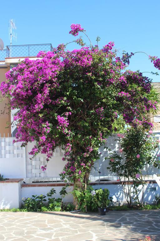 Casa Agrumeto - Locazione Turistica Mondello Zimmer foto
